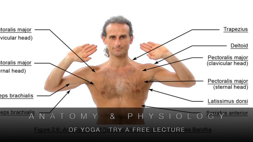 Anatomy & Physiology of Yoga Promo Video